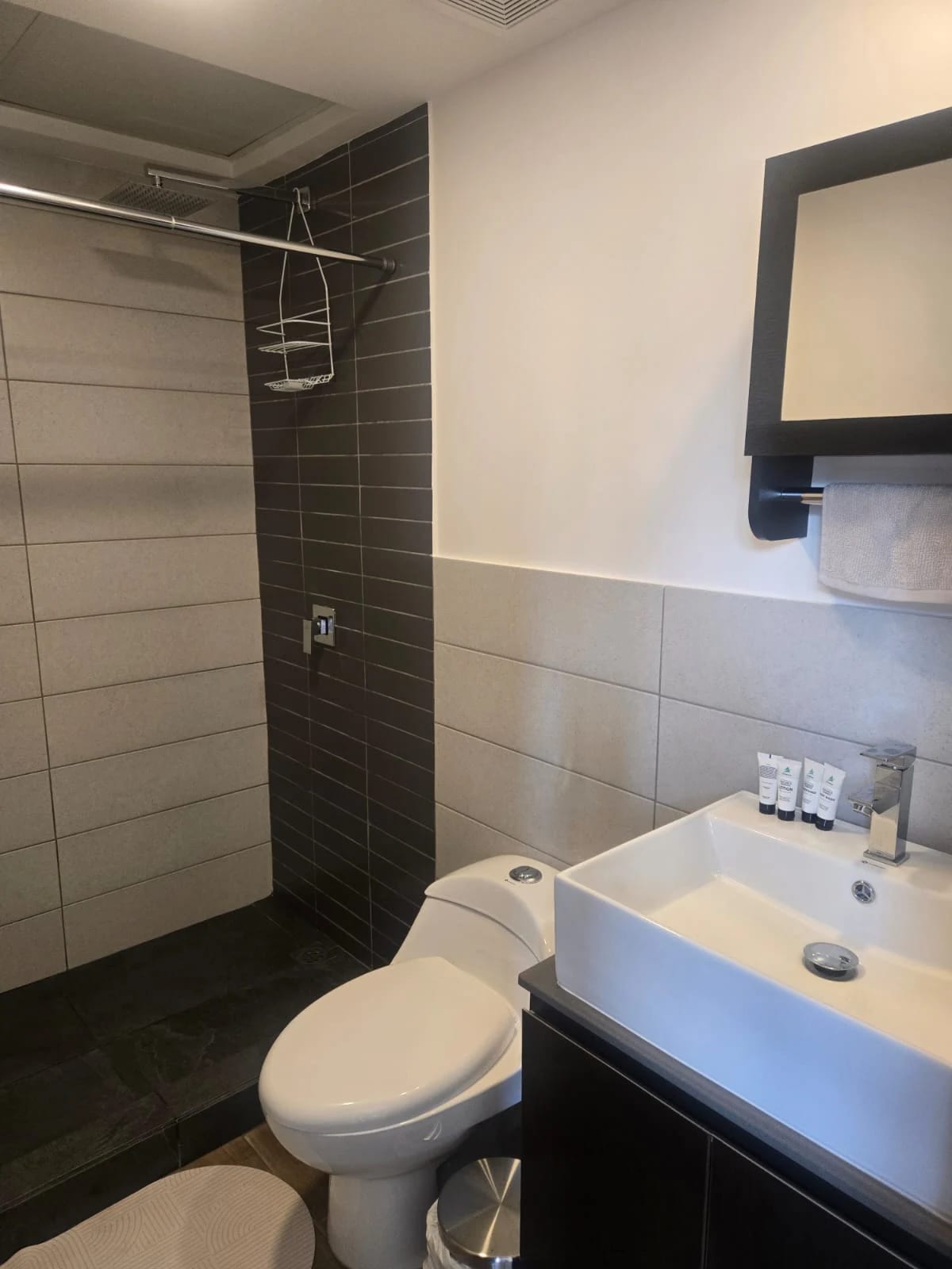 Apartamento para inversión, Vista Hermosa 2 amueblado — foto 5 de 8