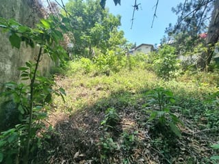 TERRENO EN VENTA SANTA ROSALIA KM 12 CES — miniatura 2 de 4