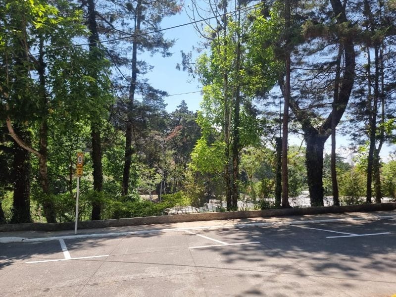 TERRENO EN VENTA SANTA ROSALIA KM 12 CES — foto 4 de 4