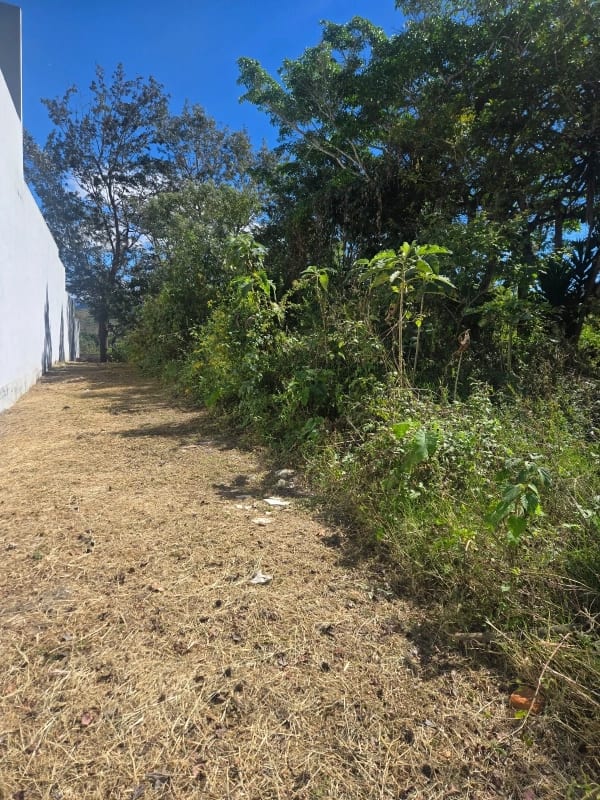 Terreno plano en zona 16 dentro de la garita — foto 3 de 3